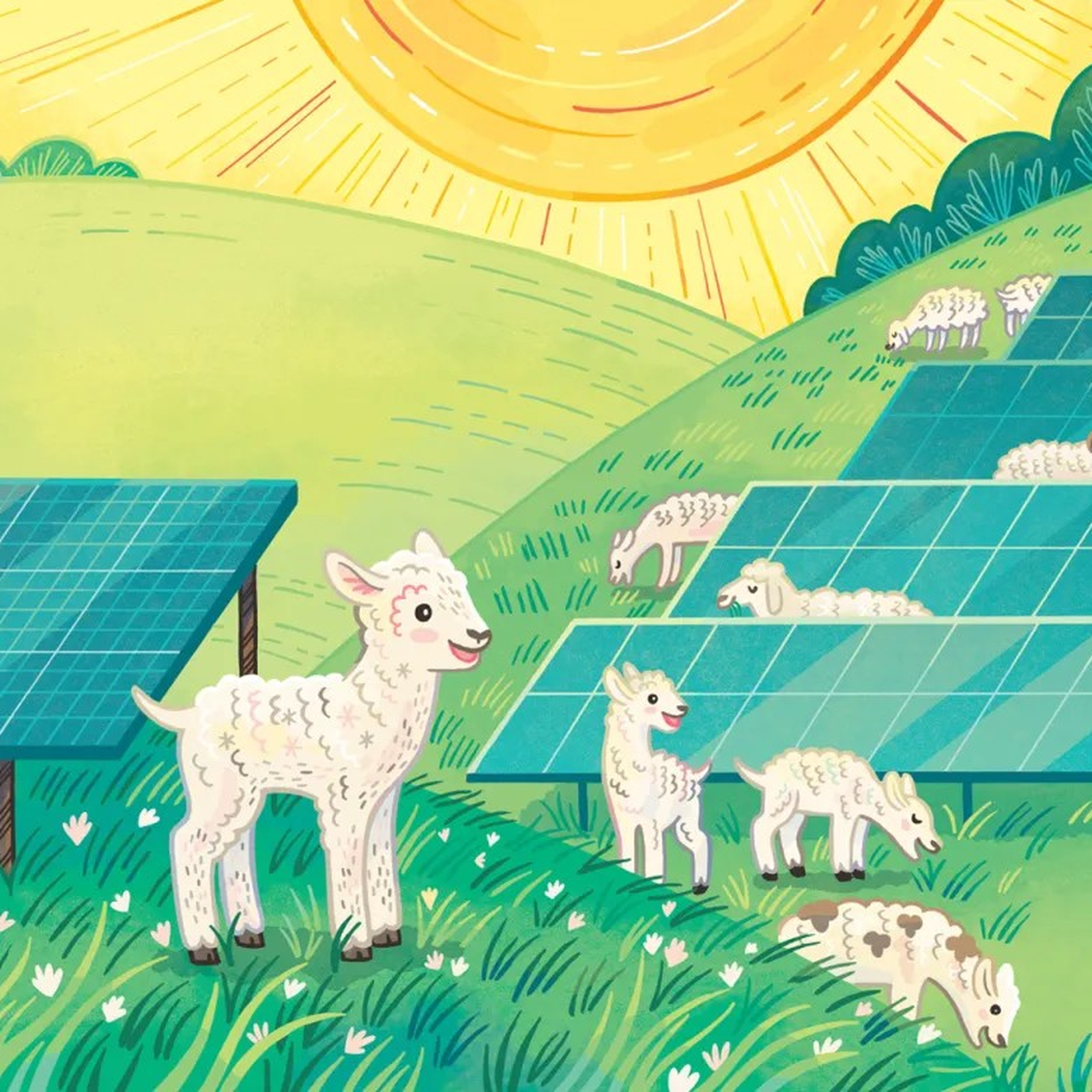 Illustration from the book "Levi the Lamb" showing sheep on a solar field.