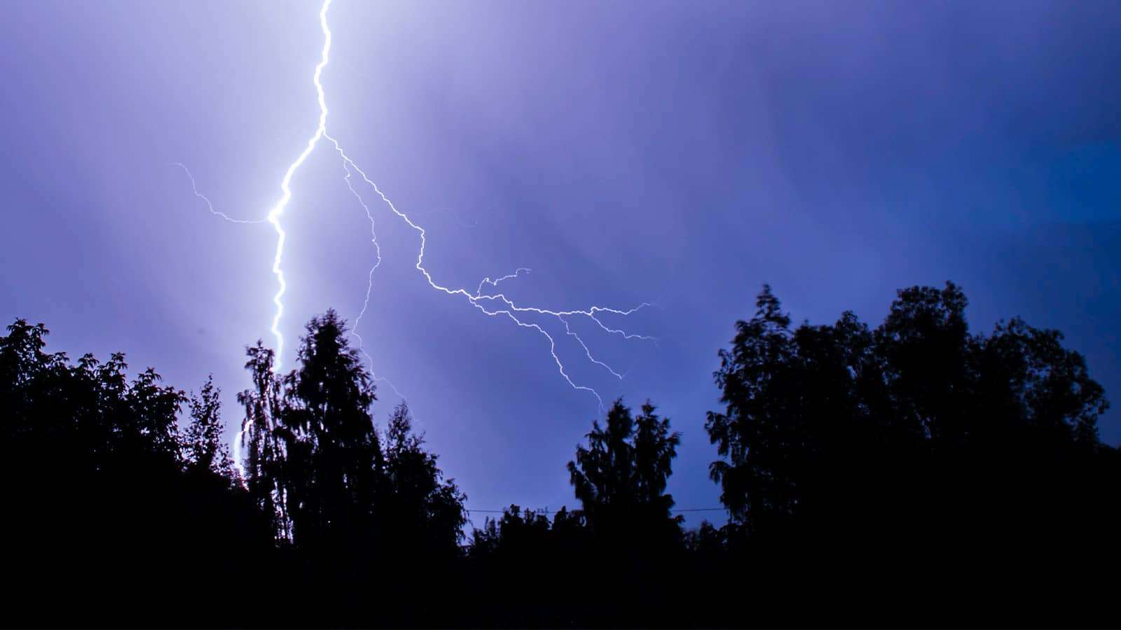 A bright lightning bolt illuminates a dark, cloudy sky with silhouetted trees in the foreground.