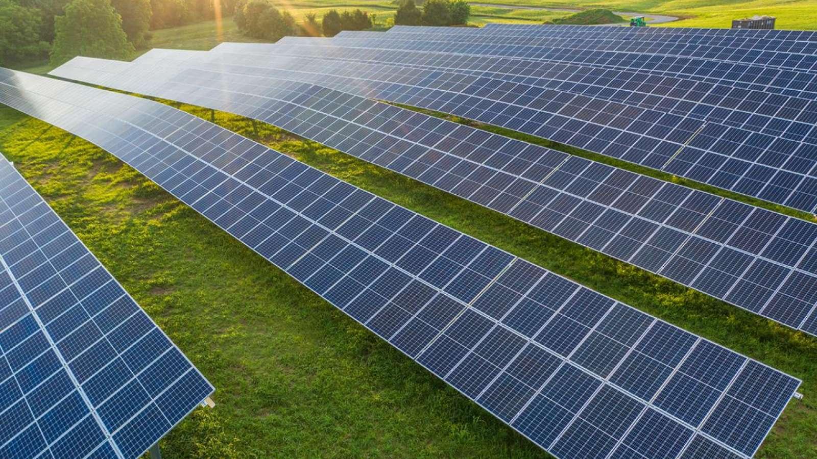 Field of solar panels over green grass.