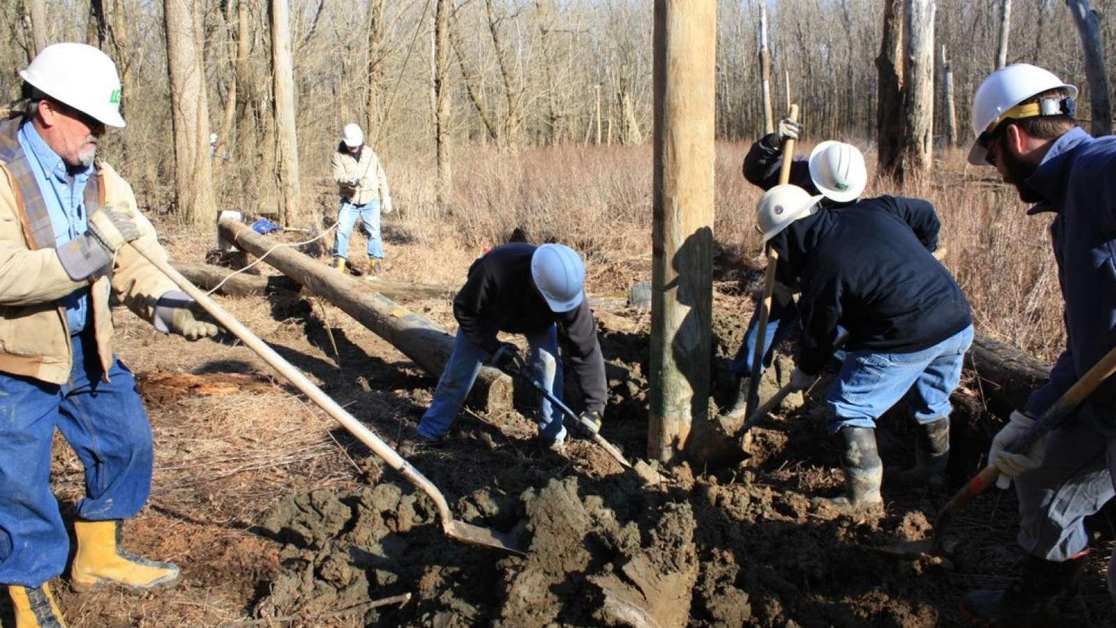 Workers in white hard hats and boots digging with shovels in mud around the base of a telephone pole